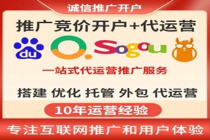 某电商平台的SEM推广实践与效果展示